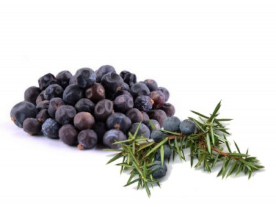 Brinove jagode 500 g