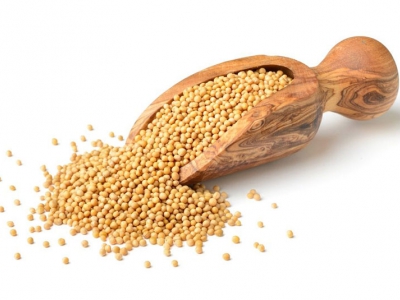 Gorčična semena 1 kg