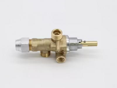 Regulator Maxima (plinski)